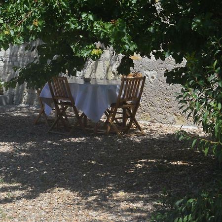 Gite Dans Le Vignoble De Bourgueil Villa Le Port Boulet Exterior photo