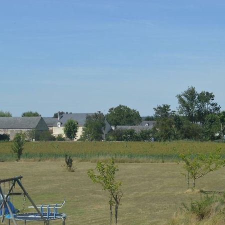 Gite Dans Le Vignoble De Bourgueil Villa Le Port Boulet Exterior photo