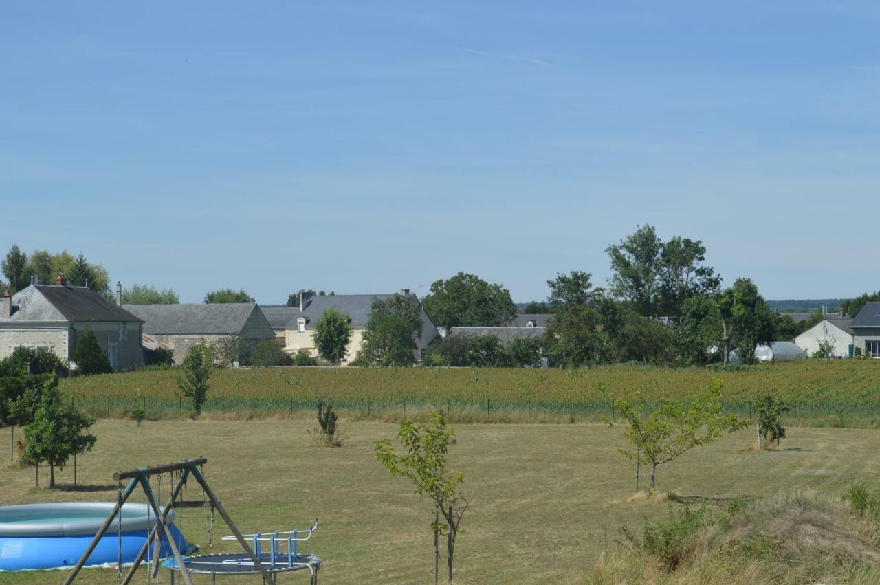 Gite Dans Le Vignoble De Bourgueil Villa Le Port Boulet Exterior photo