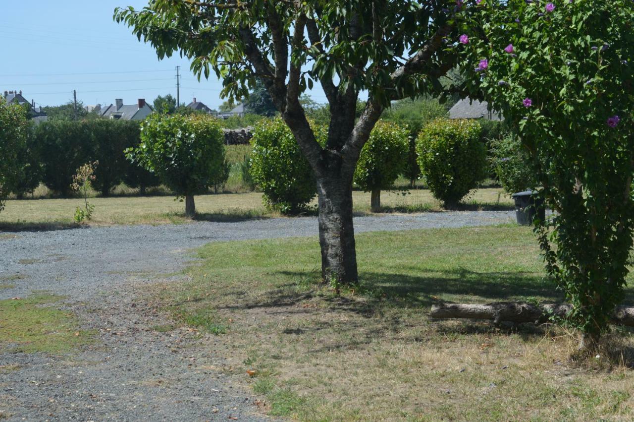 Gite Dans Le Vignoble De Bourgueil Villa Le Port Boulet Exterior photo