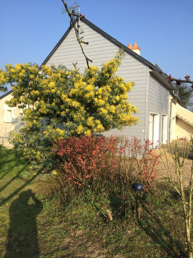 Gite Dans Le Vignoble De Bourgueil Villa Le Port Boulet Exterior photo